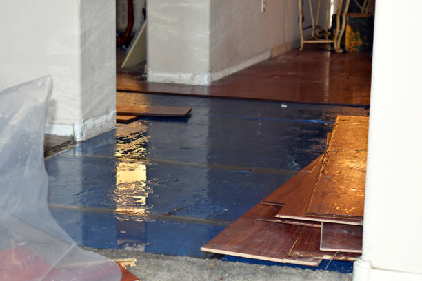 Professional Basement Flood Cleanup technician working in Winthrop, MN